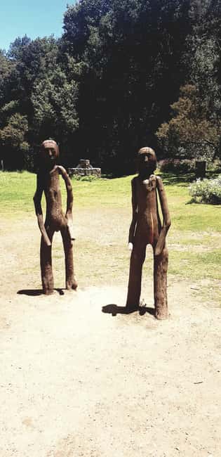 From the south of Tenerife: La Gomera full day trip - Garajonay National Park: The Laural Forest and UNESCO Heritage Site