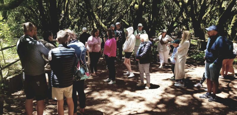 From the south of Tenerife: La Gomera full day trip - Lunch at Las Rosas Restaurant: Traditional Flavors Included