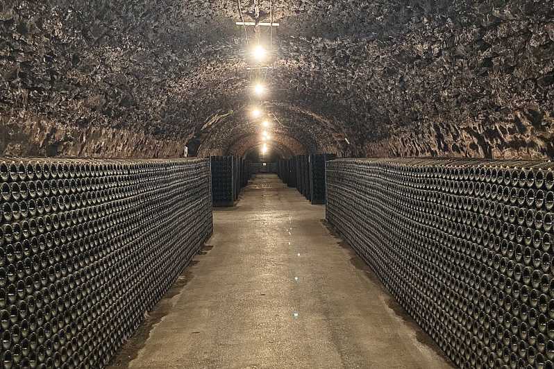 From the vines to the Champagne glass with a vintage car - Visiting a Family Champagne Estate