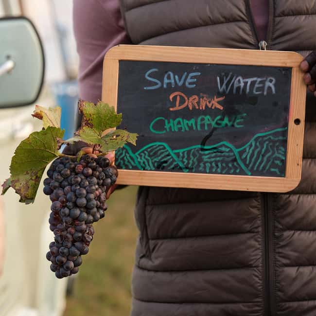 From the vines to the Champagne glass with a vintage car - Learning How Champagne is Made
