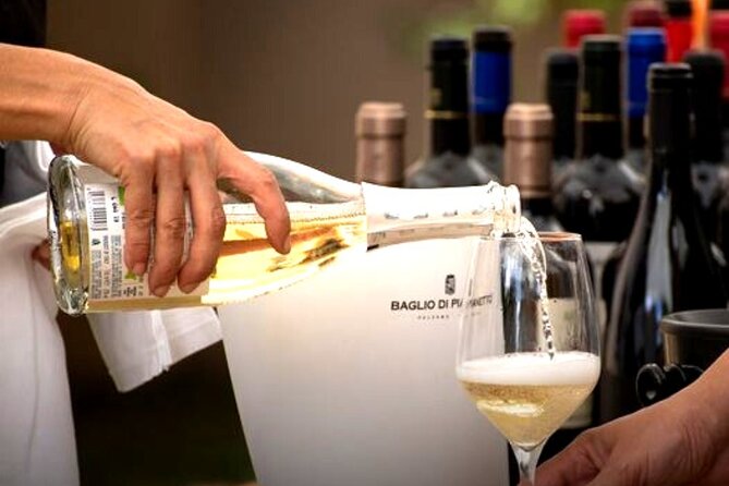 From the Vineyards to the Chalice: A Unique Tasting Experience - The Experience of a Fully Sustainable Winery