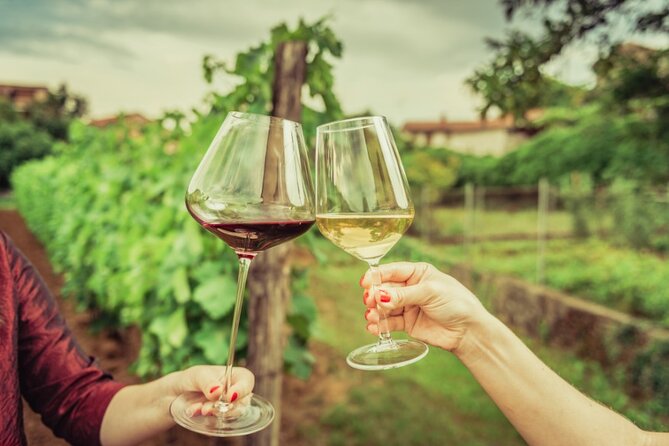 From the Vineyards to the Chalice: A Unique Tasting Experience - Timing, Booking, and Practical Tips