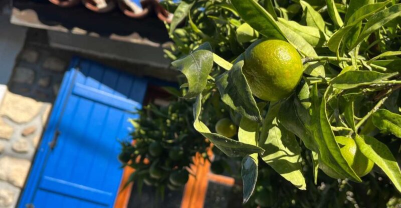 From Thessaloniki: Chalkidiki Hidden Gems Private Day Trip - Varvara’s Waterfalls: A Refreshing Natural Escape