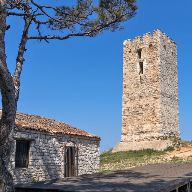 From Thessaloniki: Chalkidiki Hidden Gems Private Day Trip - Practical Considerations and Suitability