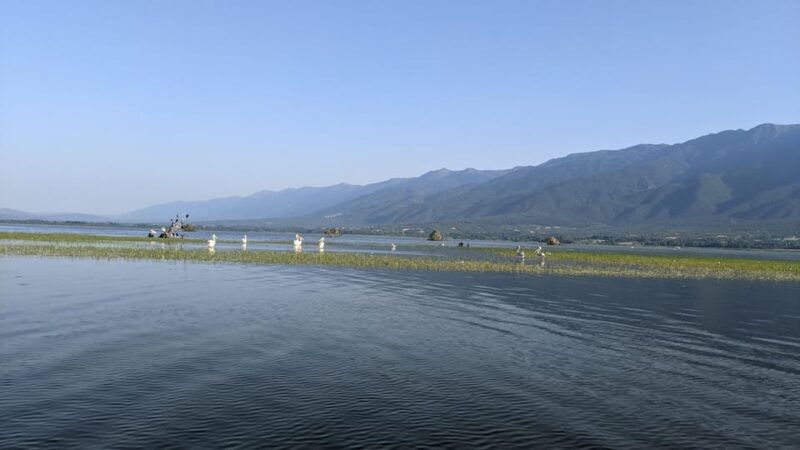 From Thessaloniki: Lake Kerkini, Boat Ride & Winery Day Tour - Key Points