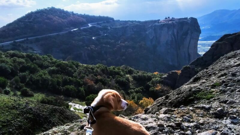 From Thessaloniki: Meteora Small Group Day Trip - Why Choose This Meteora Day Trip?