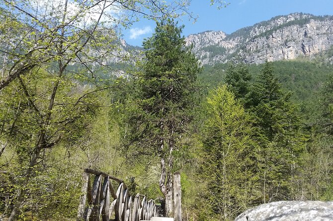 From Thessaloniki: Olympus and Dion History and Nature Day Trip - Lunch and Rest at Stavros Refuge