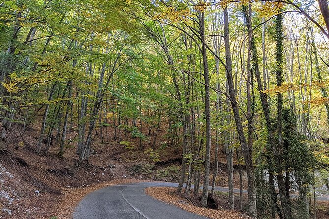 From Thessaloniki: Olympus and Dion History and Nature Day Trip - Guided Tours with Expert Knowledge