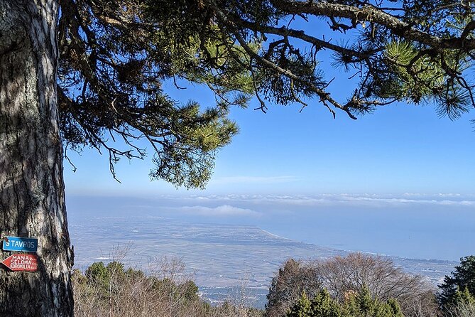From Thessaloniki: Olympus and Dion History and Nature Day Trip - Flexibility and Booking Considerations