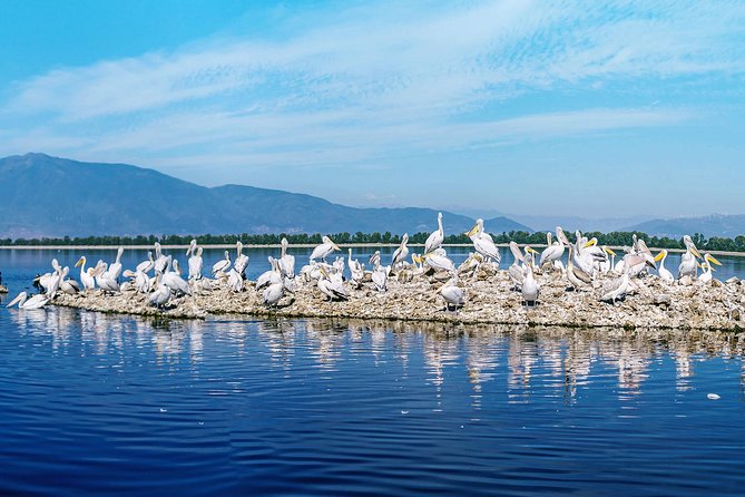 From Thessaloniki: Private Day Trip to Kerkini Lake - Birdwatching and Wildlife Encounters