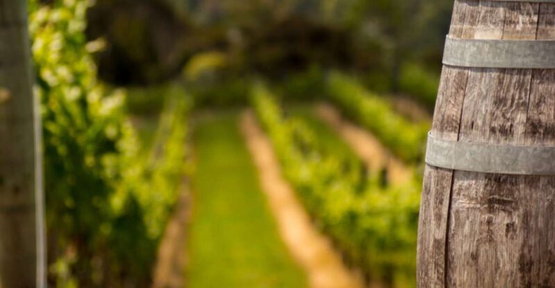 From Thessaloniki: Private Day Trip to Sithonia Chalkidiki - Key Points