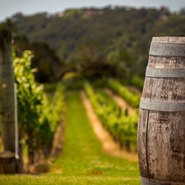 From Thessaloniki: Private Day Trip to Sithonia Chalkidiki - Exploring Kalogria Beach’s Crystal Waters and Soft Sand