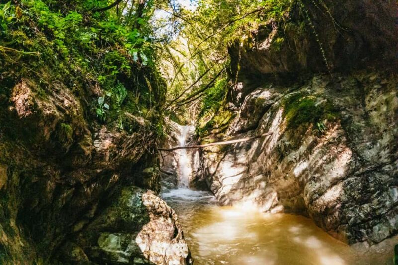 From Tignale, Lake Garda: Beginner-Friendly Canyoning Tour - The Experience of the Guides and Group Dynamics