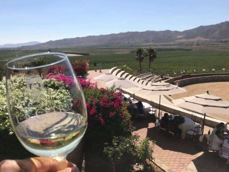 From Tijuana: Valle de Guadalupe Private Winery Tour - Explore Baja California’s Premier Wine Region with a Private Tijuana Day Trip