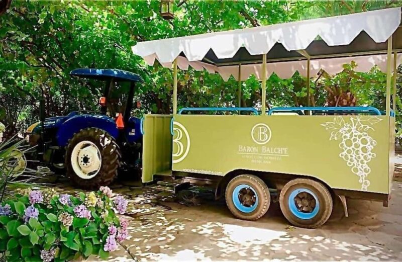 From Tijuana: Valle de Guadalupe Shared Winery Tour - Key Points