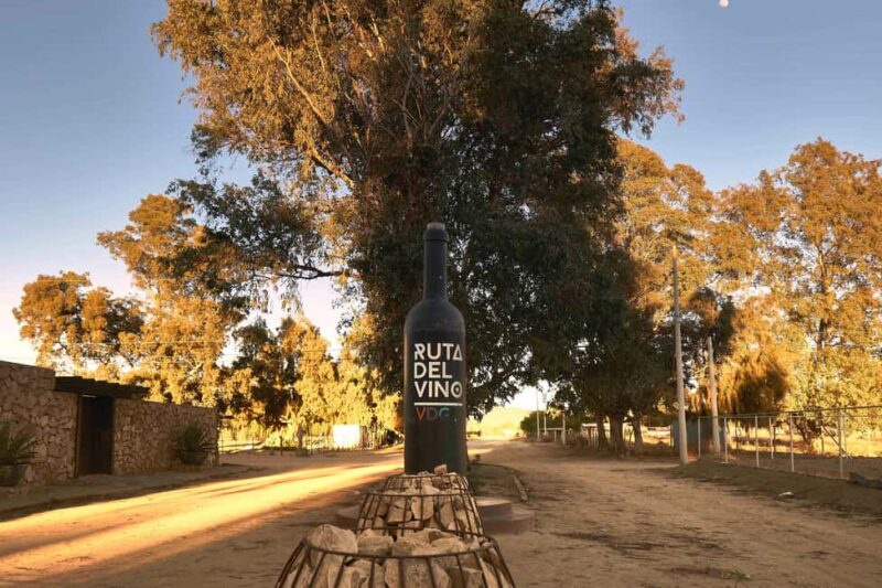 From Tijuana: Valle de Guadalupe Shared Winery Tour - Savor Baja Med Cuisine at a Local Restaurant