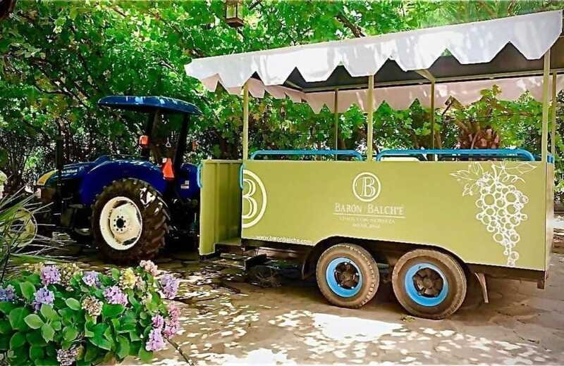 From Tijuana: Valle de Guadalupe Shared Winery Tour - Exploring Artisanal and Local Products at Sol de Media Noche