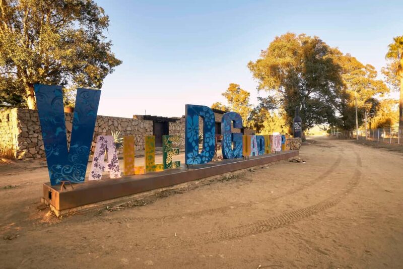 From Tijuana: Valle de Guadalupe Shared Winery Tour - The Experience According to Reviews