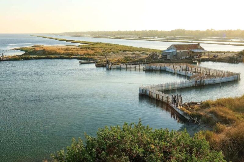 From Tirana: Berat and Karavasta Lagoon Day Trip - The Beauty of Karavasta Lagoon and Its Natural Ecosystem