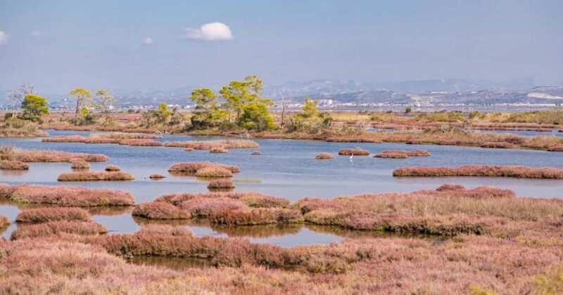 From Tirana: Berat and Karavasta Lagoon Day Trip - Frequently Asked Questions