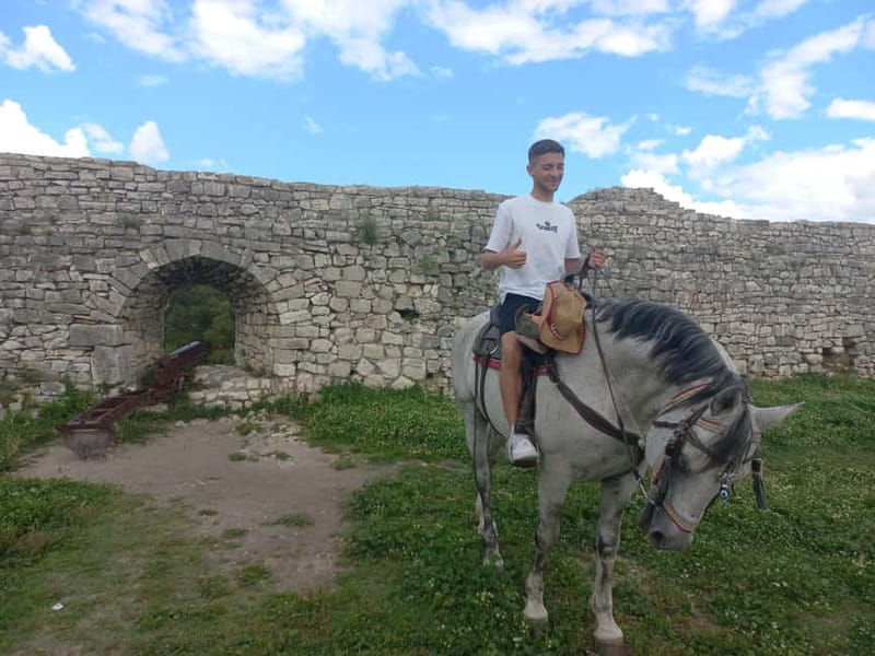 From Tirana: Berat City, Durres, and Belshi Lake Day Trip - Who Will Enjoy This Tour Most?