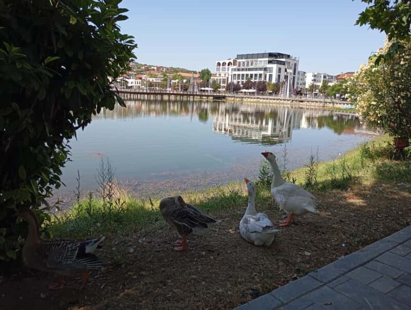 From Tirana: Berat Exploring Tour, Belshi Lake & Agrotourism - Key Points