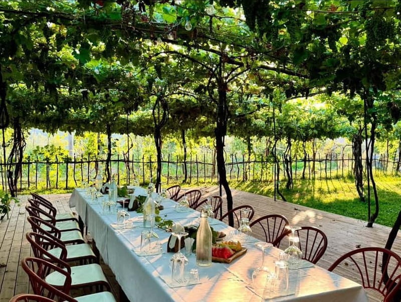 From Tirana: Berat UNESCO Heritage with Wine Tasting - The Role of the Guide and Tour Flow