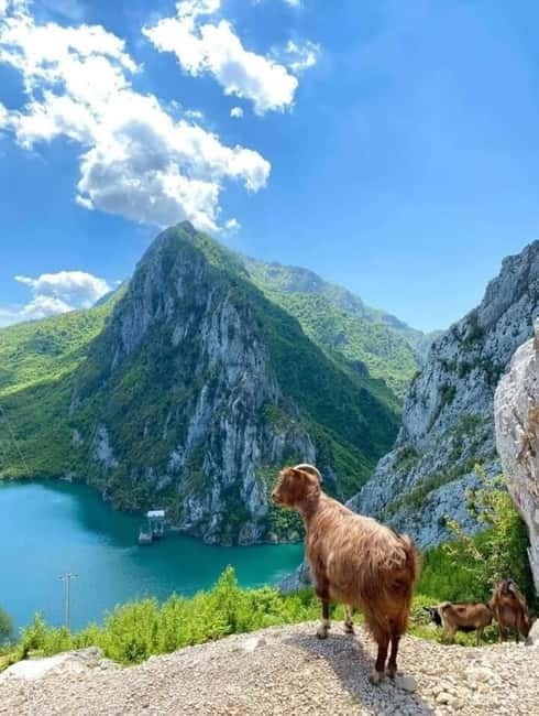 From Tirana: Bovilla Lake and Gamti Mountain Tour - Scenic Bovilla Lake and the Albanian Landscape