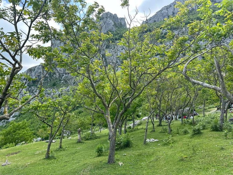 From Tirana: Bovilla Lake & Gamti Mountain Viewpoint Hike - Guide Personalities and Group Experience