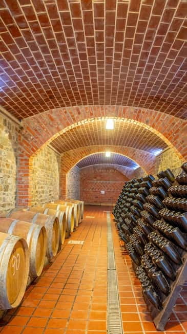 From Tirana: Church of Saviour, Spac Prison & Wine Tasting - Who Should Consider This Tour