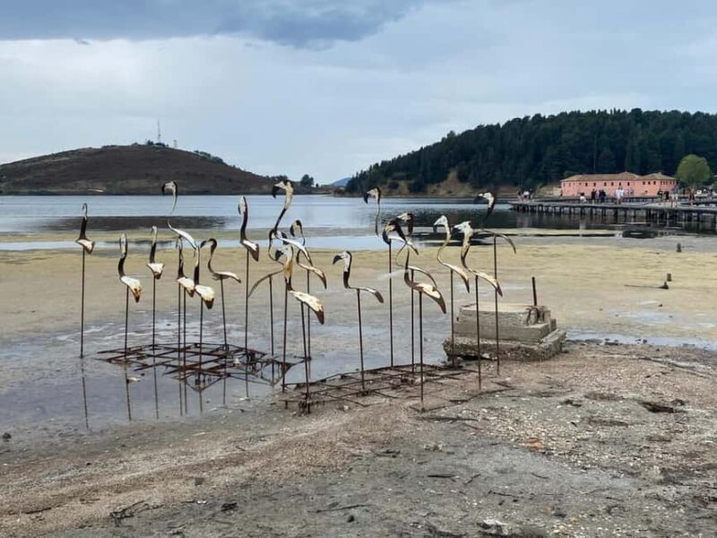 From Tirana/ Durrës: Apollonia & Zvernec Monastery Day Tour - Comparing with Similar Experiences