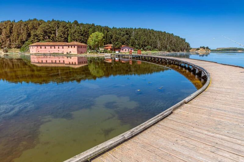 From Tirana/ Durrës: Apollonia & Zvernec Monastery Day Tour - Apollonia and Zvernec Monastery: Is It Worth It?