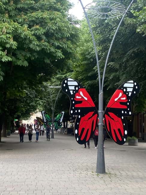 From Tirana/Durres: Korca, Voskopoja, Pogradec,Lin Day Tour - Lake Ohrid, Pogradec, and Lin Village: Nature and Scenery