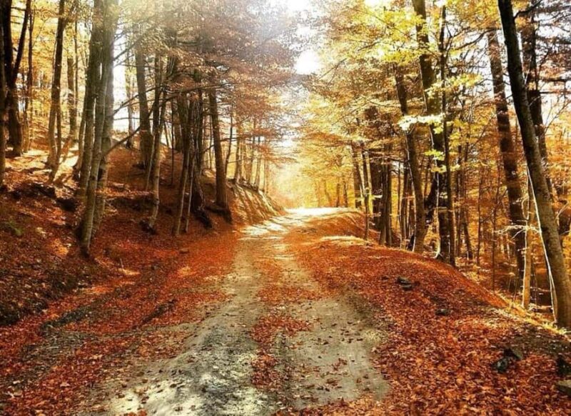 From Tirana / Durrës: Qafë-Shtamë, Sarisalltik & Krujë Tour - Key Points