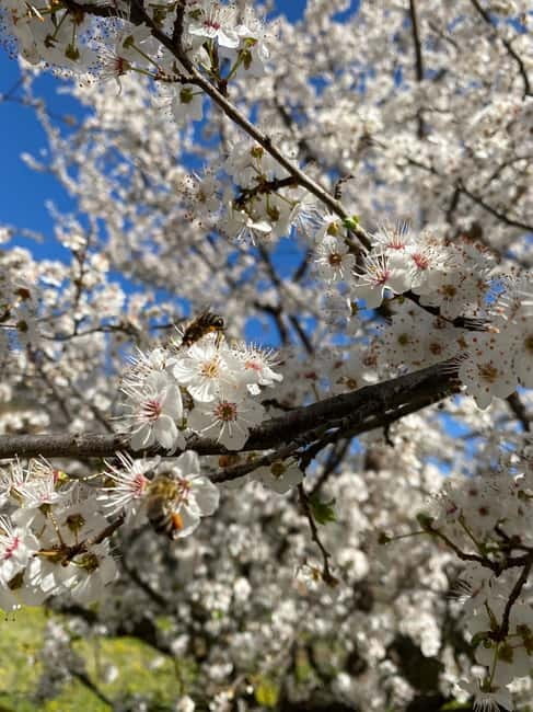 From Tirana/Durres: THINK GLOBAL, ACT AS A LOCAL - Hiking Through Albania’s Unspoiled Nature Paths