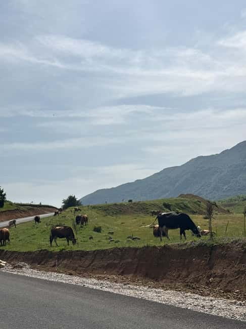 From Tirana/Durres:Hiking tour in National Park of Shebenik - The Experience Provider: Albania Road Trip
