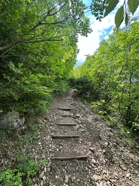 From Tirana: Pëllumbas hiking & Cave exploration - Practical Tips and Physical Requirements