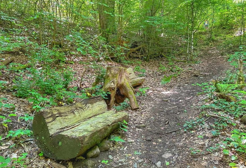 From Tirana/Shkodra: Komani Lake and Shala River Day Trip - Frequently Asked Questions