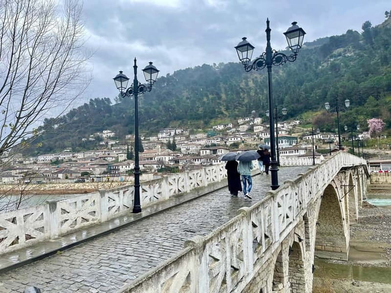 From Tirana: Small Group Day Trip to Berat & Belsh Lake - The Experience of the Guide and Overall Atmosphere