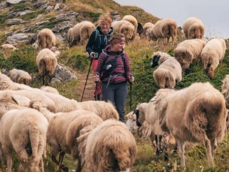 From Tirana: Valbona Valley and Prizren 2 Day Tour - Food Experiences and Local Cuisine