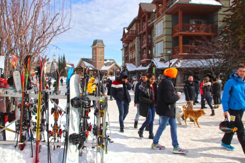 From Toronto: Blue Mountain Beginner Skiing Lesson - Scenic Return Trip to Toronto