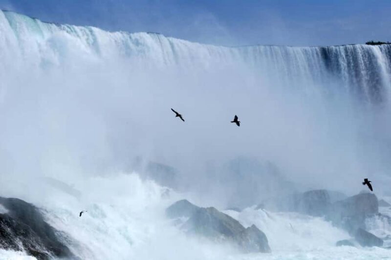 From Toronto: Niagara Falls Private Sightseeing Tour - Lunch Options in Niagara Falls and Niagara-on-the-Lake