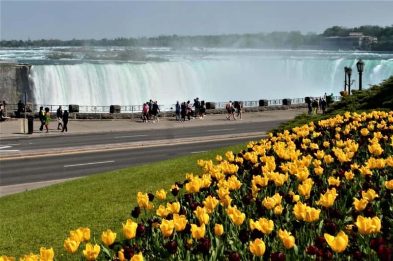 From Toronto: Niagara Falls Private Sightseeing Tour - Wine Tasting at a Local Winery