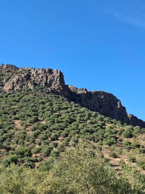 From Torre de Moncorvo: an Immersive Tour through Douro - Regional Tasting Lunch in a Typical Restaurant