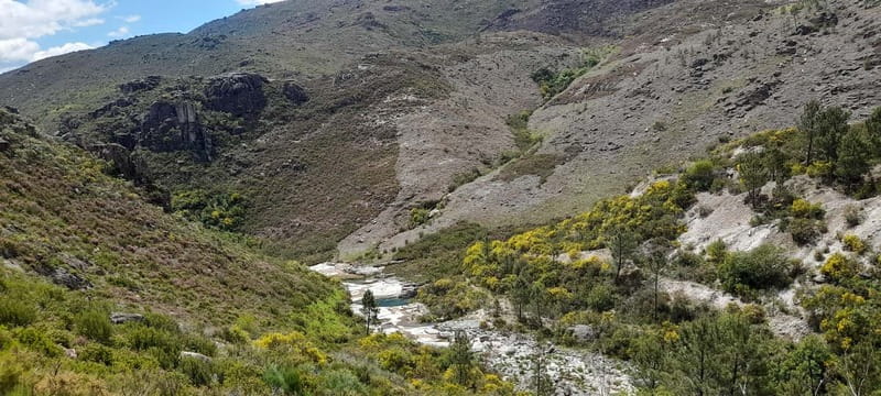 From Torre de Moncorvo: an Immersive Tour through Douro - Practical Logistics and Group Experience