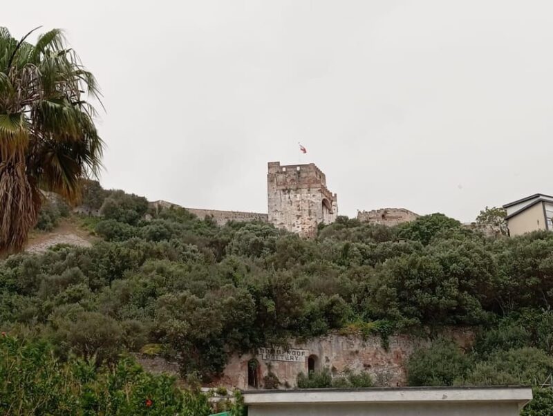 From Torremolinos: Day Trip to Gibraltar - Practical Tips for the Day Trip