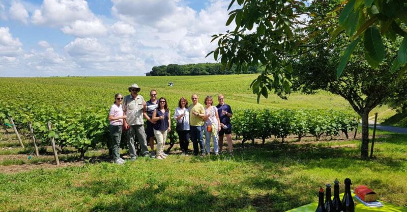 From Tours: Afternoon Loire Valley Wine Tour to Vouvray - Learning the Art of Wine Tasting