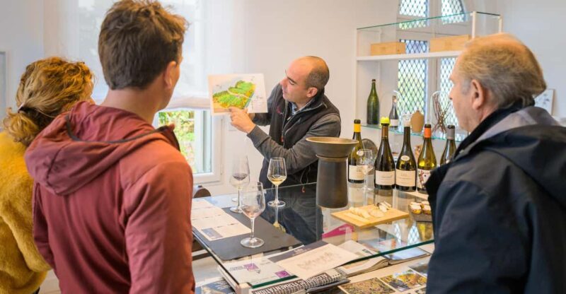 From Tours or Amboise: Loire Valley Wine Tour - Discover the Loire Valley Wine Tour Starting from Tours or Amboise