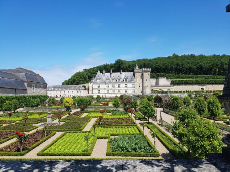 From Tours: Villandry, Azay-le-Rideau & Vouvray Winery - Stroll Through the Gardens of Villandry