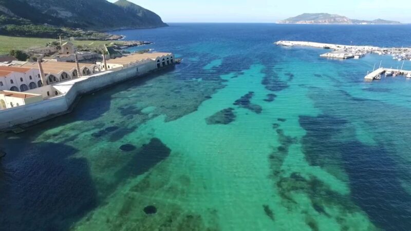 From Trapani: Day Cruise to Favignana & Levanzo with Lunch - Discover the Egadi Islands with a Day Cruise from Trapani